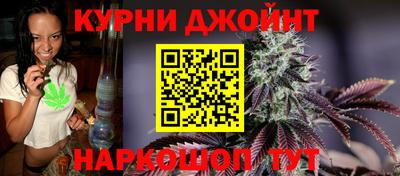 шишки Жуковский