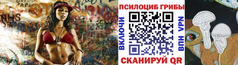 где можно купить   Тихорецк  Псилоцибиновые грибы ЛСД 