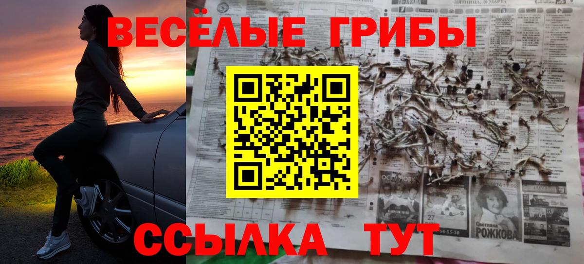МЕФ Тихорецк